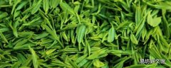 绿茶的发酵度是多少