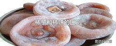 柿子和柿饼的区别