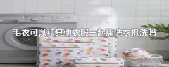 毛衣可以和其他衣服一起用洗衣机洗吗