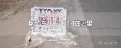 网红三生石1314在哪里