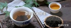 茶的六大分类