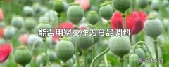 能否用罂粟作为食品调料