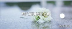 死亡证明有什么用