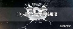 EDG是什么意思网络用语