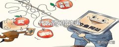 什么是网络诈骗