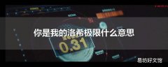 你是我的洛希极限什么意思