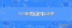 521数字代表什么意思