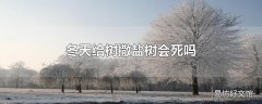 冬天给树撒盐树会死吗