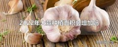 2022年大蒜种植面积会增加吗