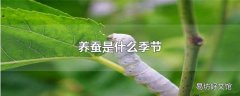 养蚕是什么季节