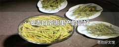 安吉白茶哪里产的最好