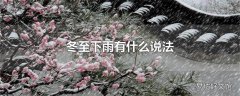 冬至下雨有什么说法