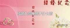 结婚九周年属于什么婚