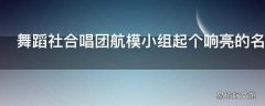 舞蹈社合唱团航模小组起个响亮的名字