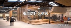 概念店什么意思