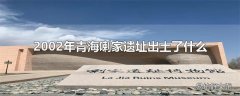 2002年青海喇家遗址出土了什么