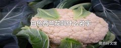 白色西兰花叫什么名字