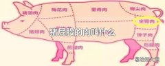 猪屁股的肉叫什么