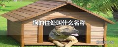 狗的住处叫什么名称