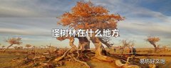 怪树林在什么地方