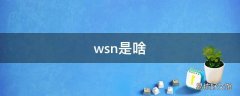 wsn是啥