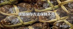 螃蟹保存方法保鲜不死