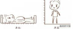 身高怎么填写才正确