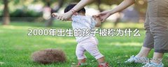 2000年出生的孩子被称为什么