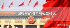 中国现在的组织形式是什么