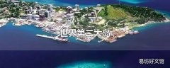 世界第二大岛