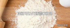 淀粉可以代替糯米粉吗