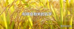 和粮食有关的名字