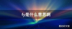 fy是什么意思啊