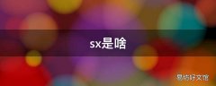 sx是啥