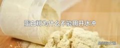 蛋白粉为什么不能用开水冲