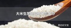 大米生黑色的虫子怎么办