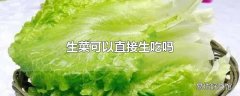 生菜可以直接生吃吗