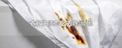 衣服油渍怎么去除 顽固