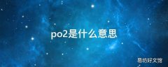 po2是什么意思