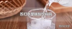 苏打水是碳酸饮料吗