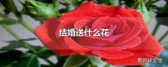 结婚送什么花