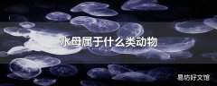 水母属于什么类动物