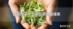 白茶属于什么茶红茶还是绿茶