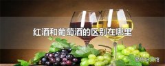 红酒和葡萄酒的区别在哪里