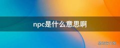 npc是什么意思啊