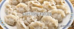 水饺和饺子的区别