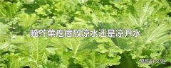 腌芥菜疙瘩放凉水还是凉开水