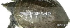 甲鱼高压锅压几分钟