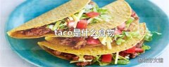 taco是什么食物