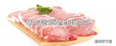 猪肉盖绿章是老母猪肉吗